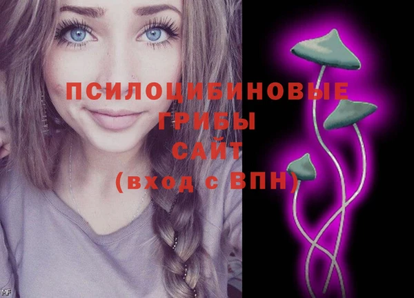 MDMA Алексеевка